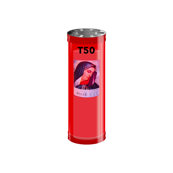 V004
